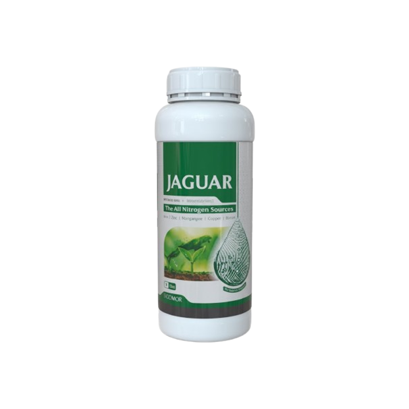 کود نیتروژن بالا جگوار (Jaguar) | رشد رویشی سریع، با عصاره جلبک دریایی و ریزمغذیها کود نیتروژن بالا جگوار (Jaguar) | رشد رویشی سریع، با عصاره جلبک دریایی و ریزمغذیها