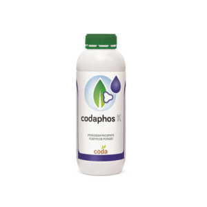 خرید کدافوس کی